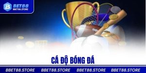 cá độ bóng đá