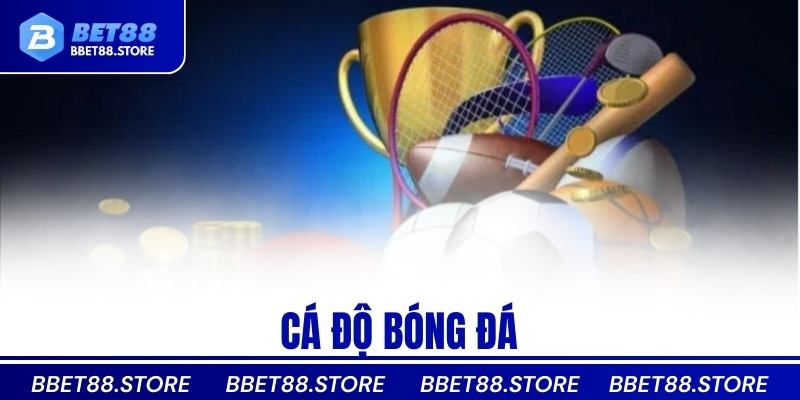 cá độ bóng đá