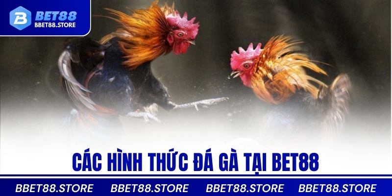 Các hình thức đá gà tại Bet88