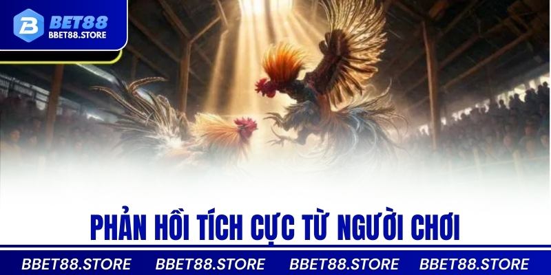 Phản hồi tích cực từ người chơi